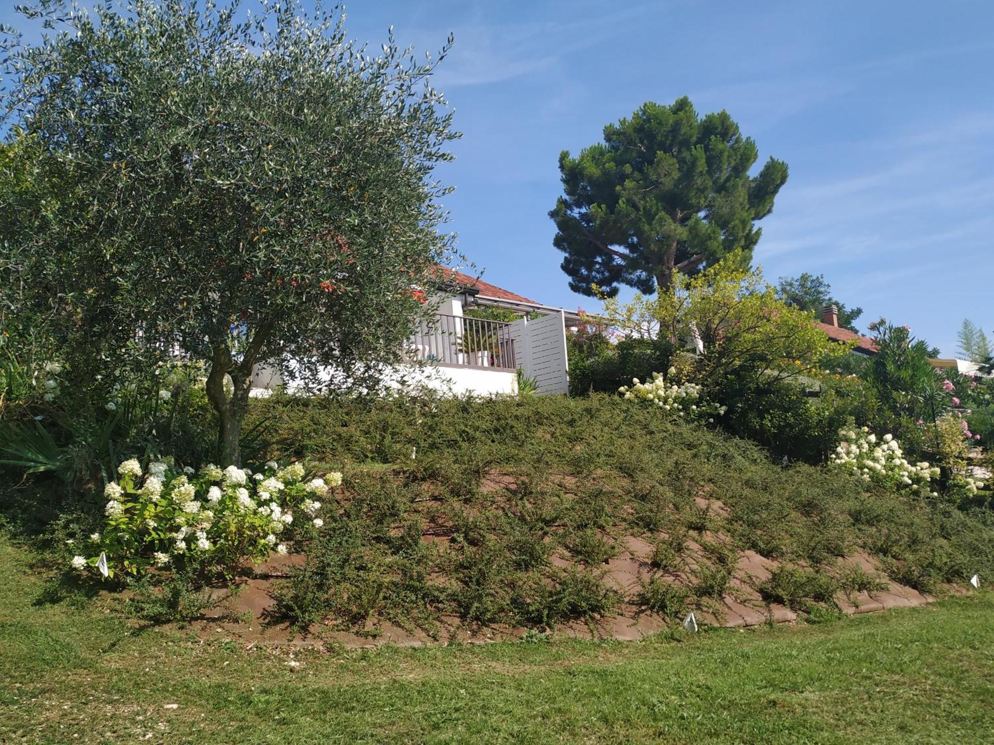 Casa Fellini Villa San Zeno di Montagna Dış mekan fotoğraf