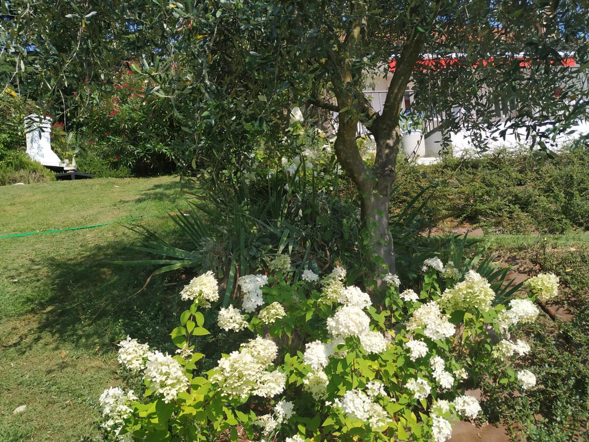 Casa Fellini Villa San Zeno di Montagna Dış mekan fotoğraf